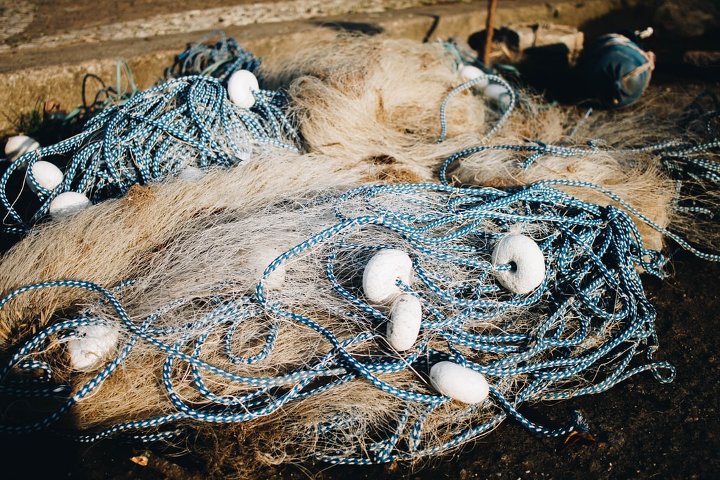 Arrastão na pesca? O Plano para a Retomada Sustentável da Pesca de Arrasto no RS não é sustentável