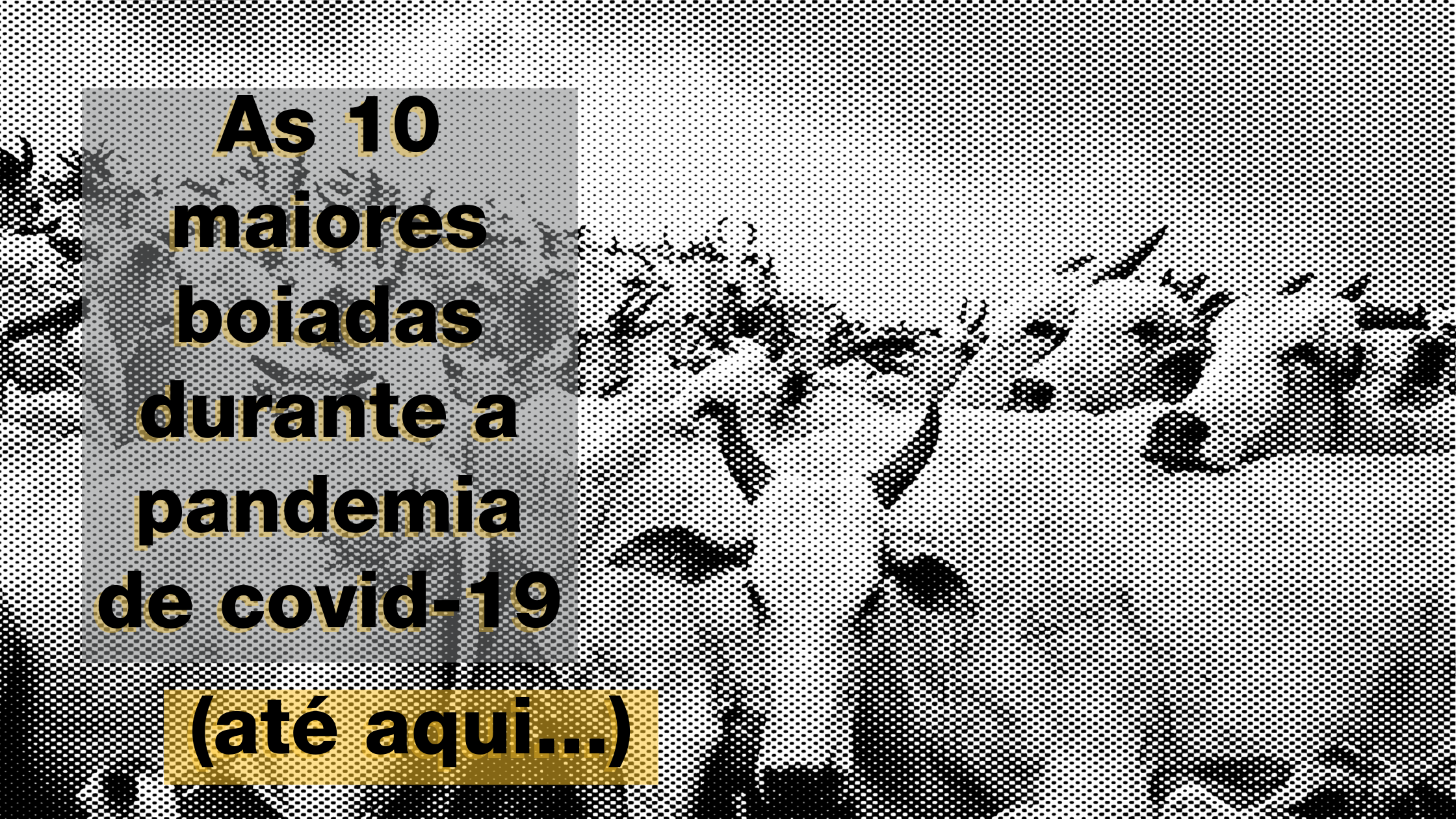 As 10 maiores boiadas durante a pandemia de covid-19 (até aqui)