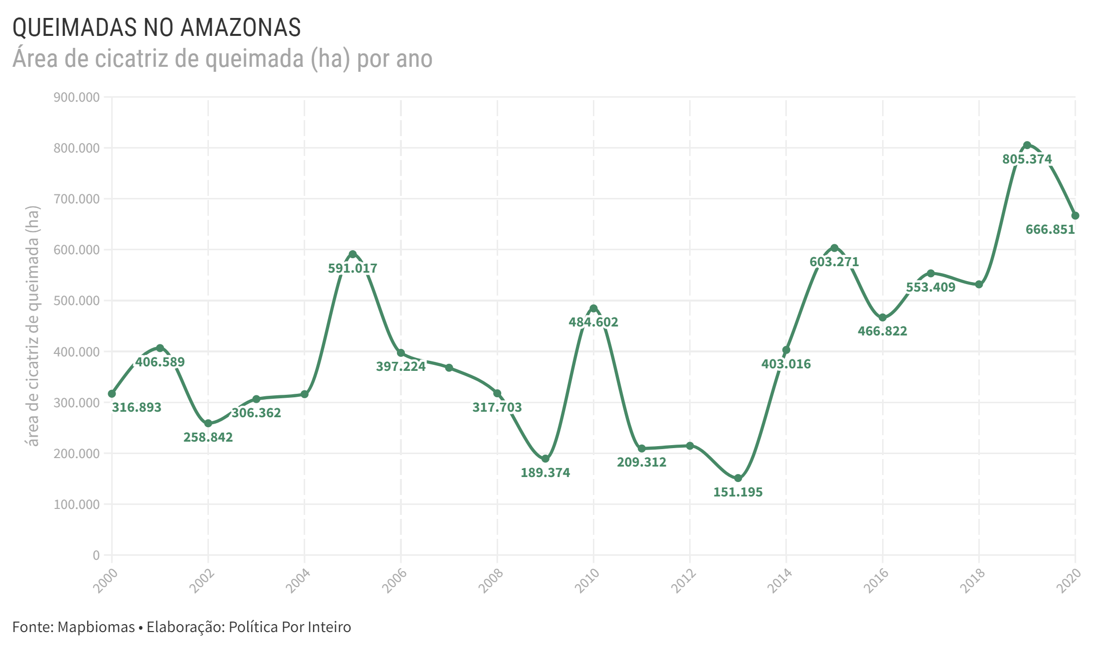 queimadas no amazonas em ha