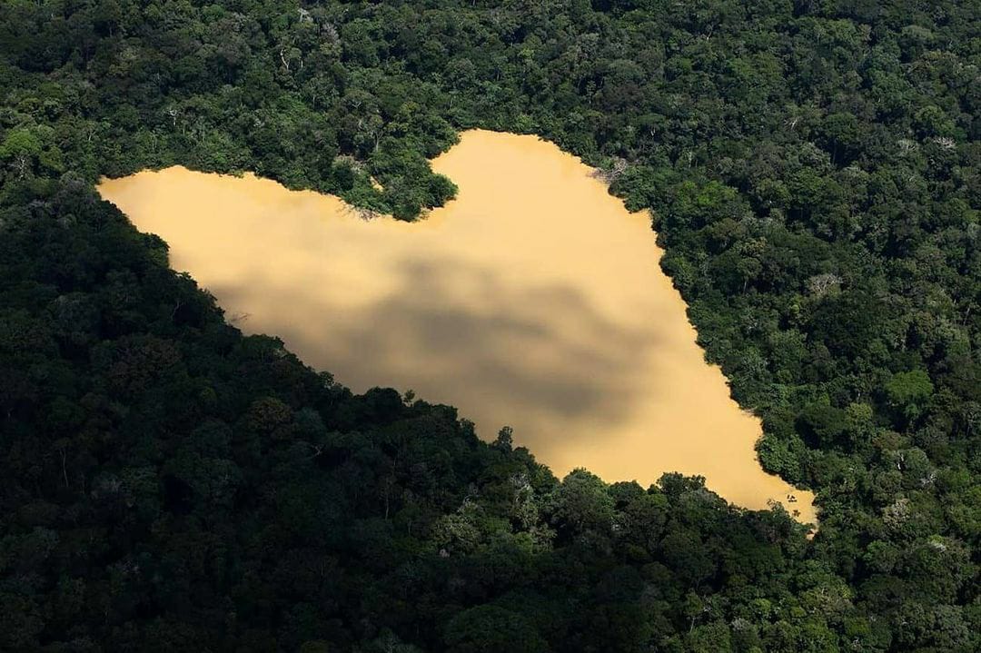 Por Bruno e Dom, pela Amazônia