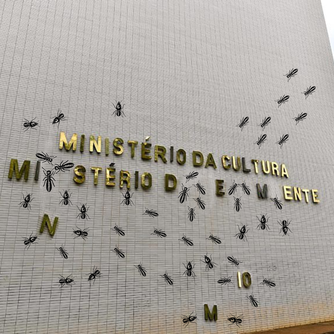 A cupinização institucional explicada em podcast